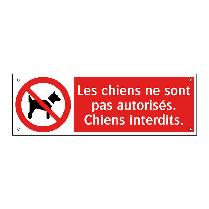 Les chiens ne sont pas autorisés. Chiens interdits.