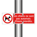 Les chiens ne sont pas autorisés. Chiens interdits.