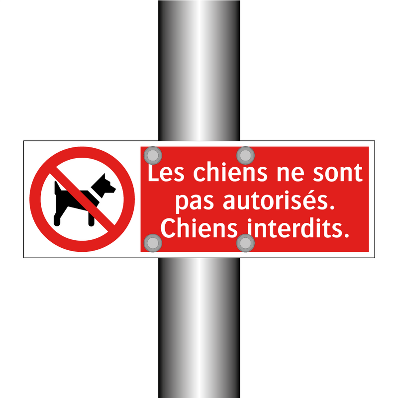 Les chiens ne sont pas autorisés. Chiens interdits.