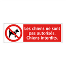 Les chiens ne sont pas autorisés. Chiens interdits.