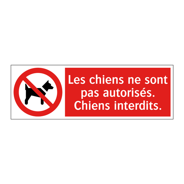 Les chiens ne sont pas autorisés. Chiens interdits.
