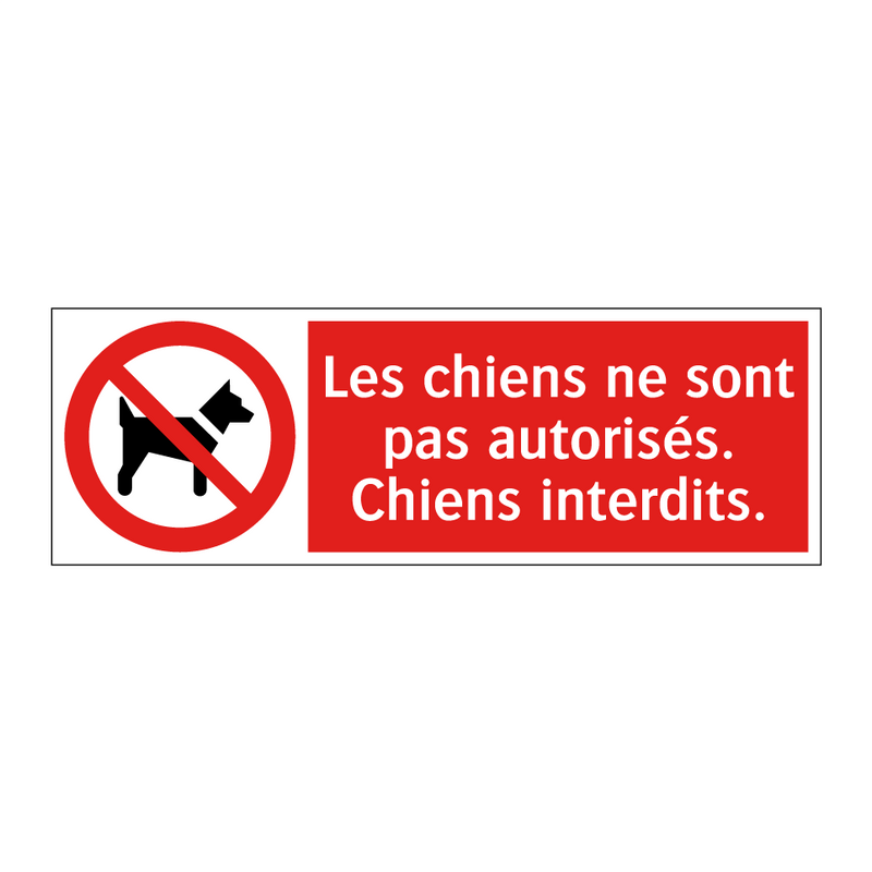 Les chiens ne sont pas autorisés. Chiens interdits.