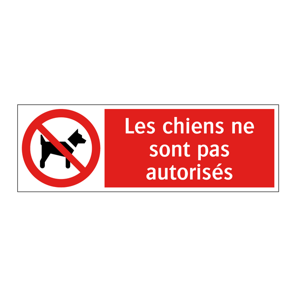 Les chiens ne sont pas autorisés