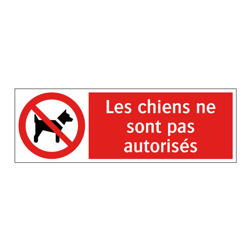 Les chiens ne sont pas autorisés