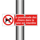 La promenade des chiens dans la zone est interdite