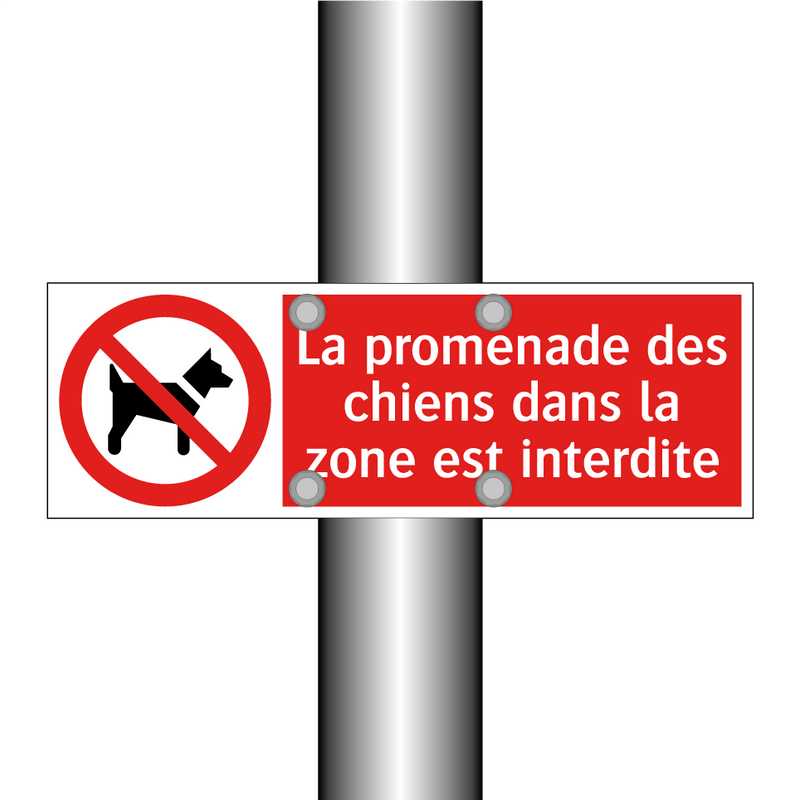 La promenade des chiens dans la zone est interdite