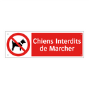 Chiens Interdits de Marcher