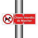 Chiens Interdits de Marcher