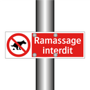 Ramassage interdit