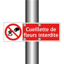 Cueillette de fleurs interdite