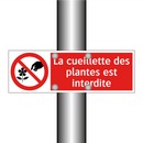 La cueillette des plantes est interdite