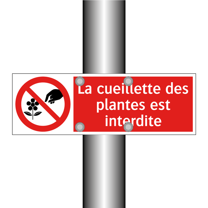 La cueillette des plantes est interdite