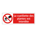 La cueillette des plantes est interdite