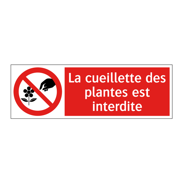 La cueillette des plantes est interdite