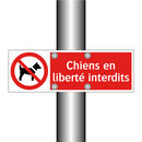 Chiens en liberté interdits