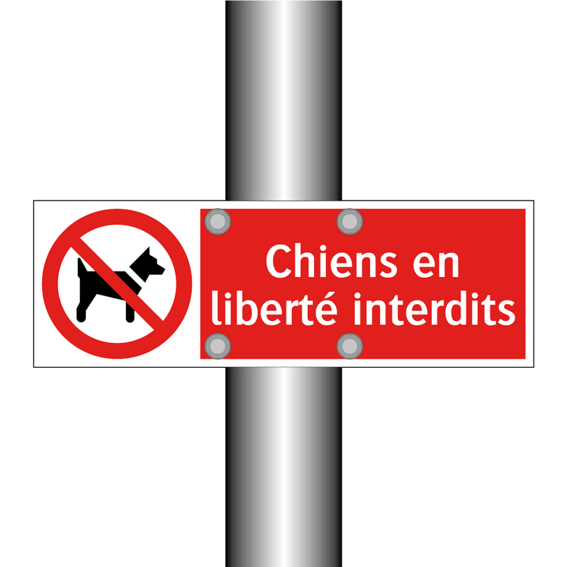Chiens en liberté interdits