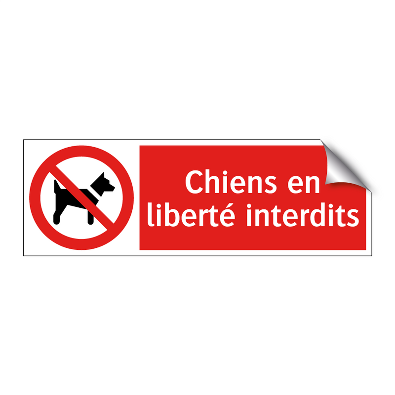 Chiens en liberté interdits