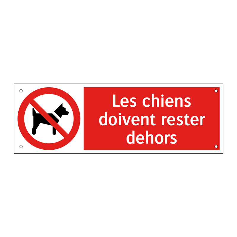 Les chiens doivent rester dehors