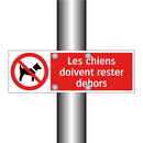 Les chiens doivent rester dehors