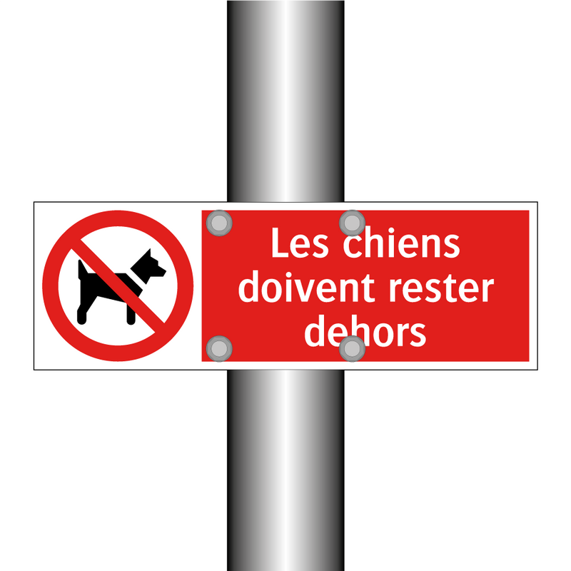 Les chiens doivent rester dehors