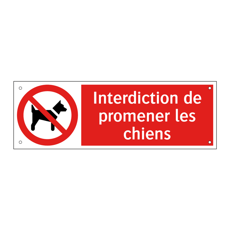 Interdiction de promener les chiens