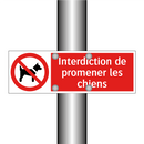 Interdiction de promener les chiens