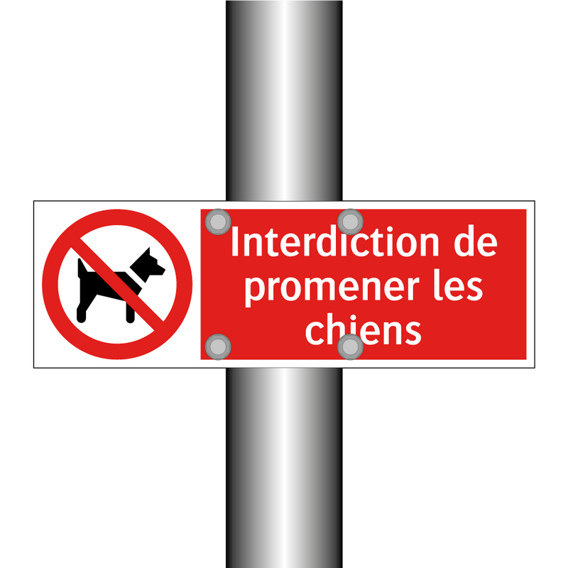 Interdiction de promener les chiens