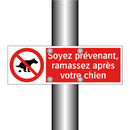 Soyez prévenant, ramassez après votre chien