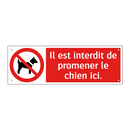 Il est interdit de promener le chien ici.