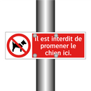 Il est interdit de promener le chien ici.