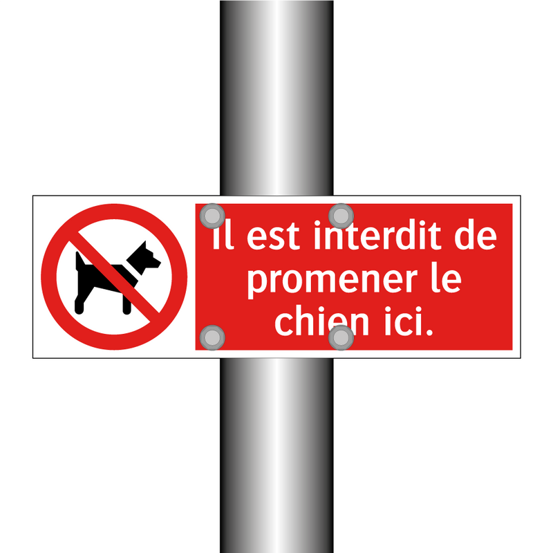 Il est interdit de promener le chien ici.
