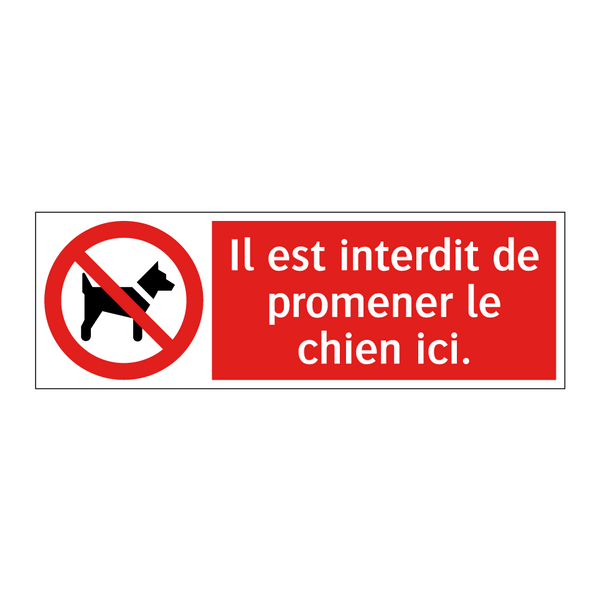 Il est interdit de promener le chien ici.