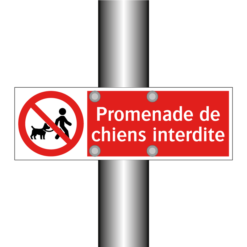 Promenade de chiens interdite