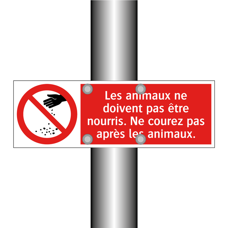 Les animaux ne doivent pas être nourris. Ne courez pas après les animaux.