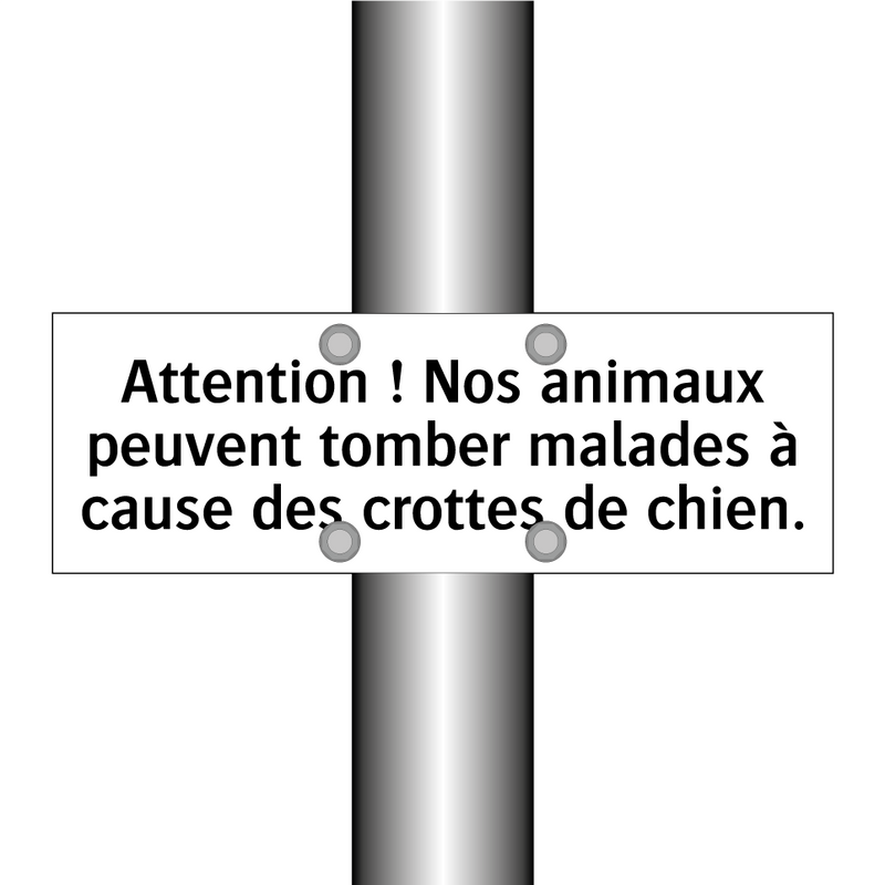 Attention ! Nos animaux peuvent tomber malades à cause des crottes de chien.
