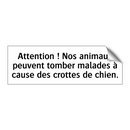 Attention ! Nos animaux peuvent tomber malades à cause des crottes de chien.