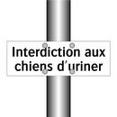 Interdiction aux chiens d'uriner