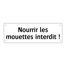 Nourrir les mouettes interdit !