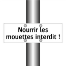 Nourrir les mouettes interdit !