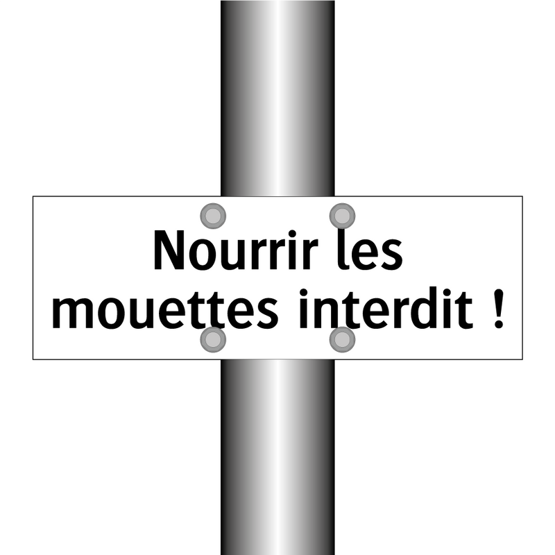 Nourrir les mouettes interdit !