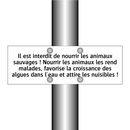 Il est interdit de nourrir les animaux sauvages ! Nourrir les animaux les rend malades, favorise la croissance des algues dans l'eau et attire les nuisibles !