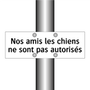 Nos amis les chiens ne sont pas autorisés