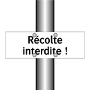 Récolte interdite !