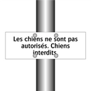 Les chiens ne sont pas autorisés. Chiens interdits.