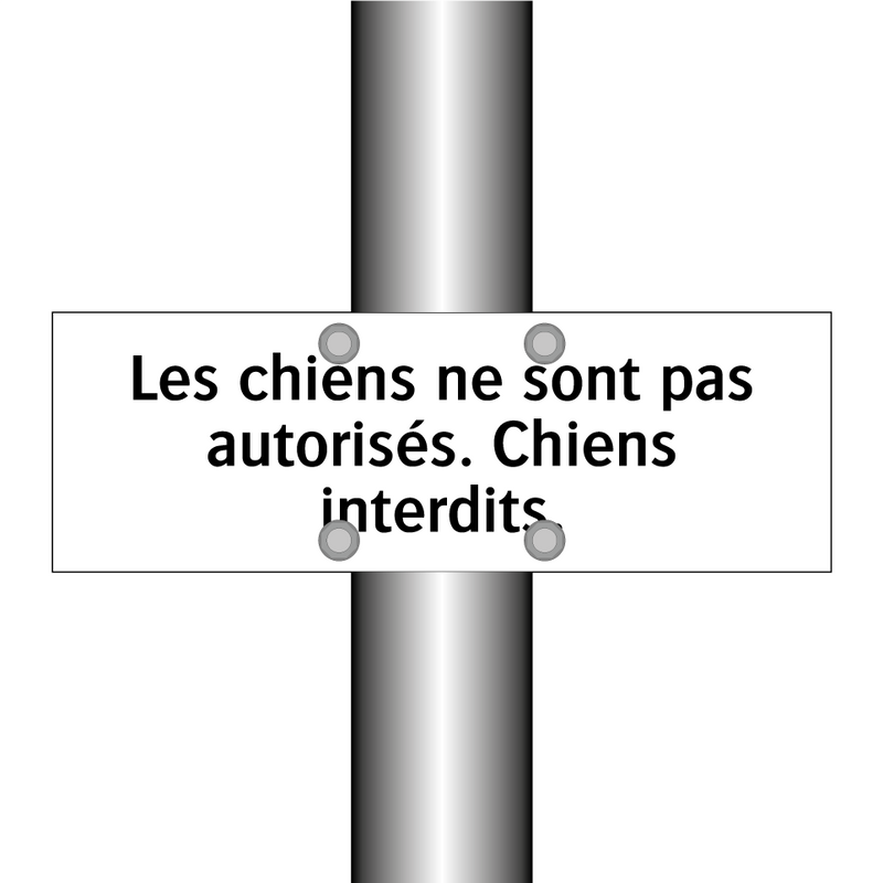 Les chiens ne sont pas autorisés. Chiens interdits.