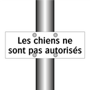 Les chiens ne sont pas autorisés