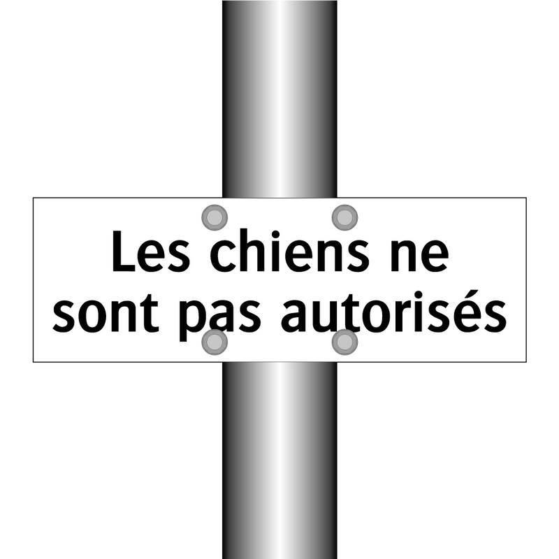 Les chiens ne sont pas autorisés