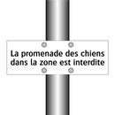 La promenade des chiens dans la zone est interdite
