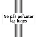 Ne pas percuter les luges