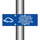 Véhicules électriques pendant le processus de charge